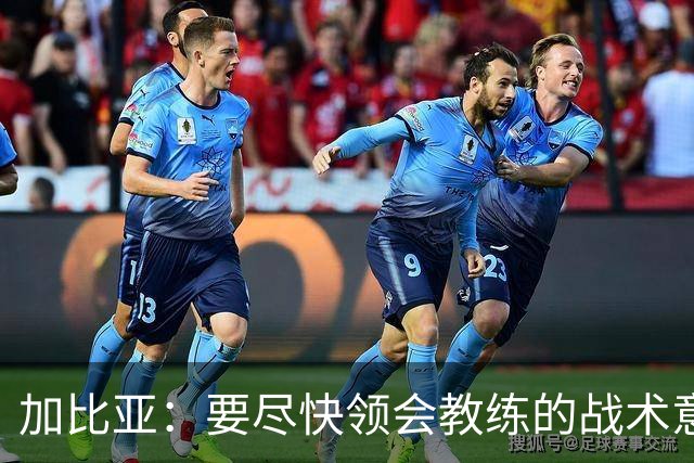 加比亚：要尽快领会教练的战术意图；欧联杯不是阻碍而是目标